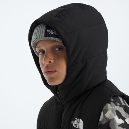The North Face North Down Hooded Down Vest - Kids' 4