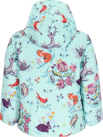 Obermeyer Ashor Insulated Jacket - Toddlers' 4