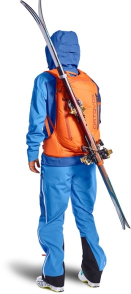 Detail Image of color Black Raven