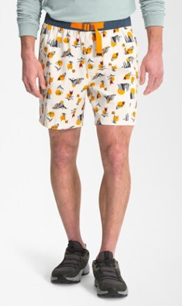 The North Face Men's Shorts | REI Co-op