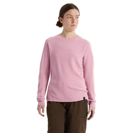 Arc'teryx Hallam Merino Wool Crewneck - Women's 1