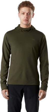 Arc'teryx Motus AR Hoodie - Men's | REI Co-op