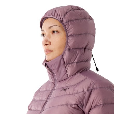 Arc'teryx Cerium Down Hoody - Women's 7