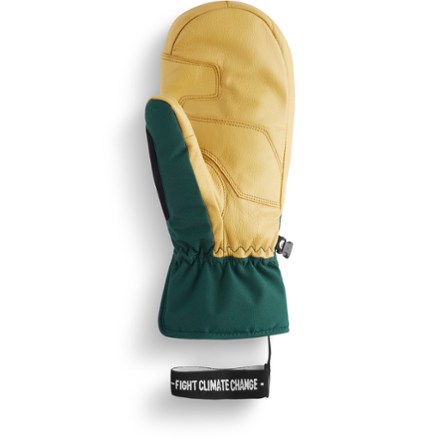 Picture Organic Clothing Ancon Mittens - Men's | REI Co-op