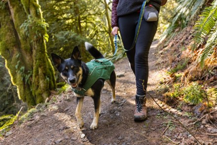 Ruffwear Overcoat Fuse Dog Jacket 10