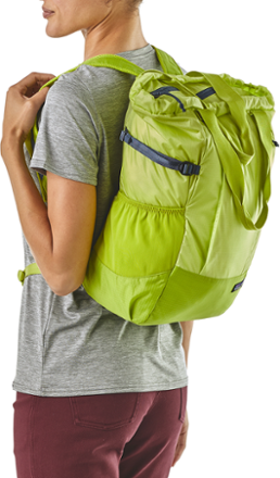 patagonia lightweight travel backpack