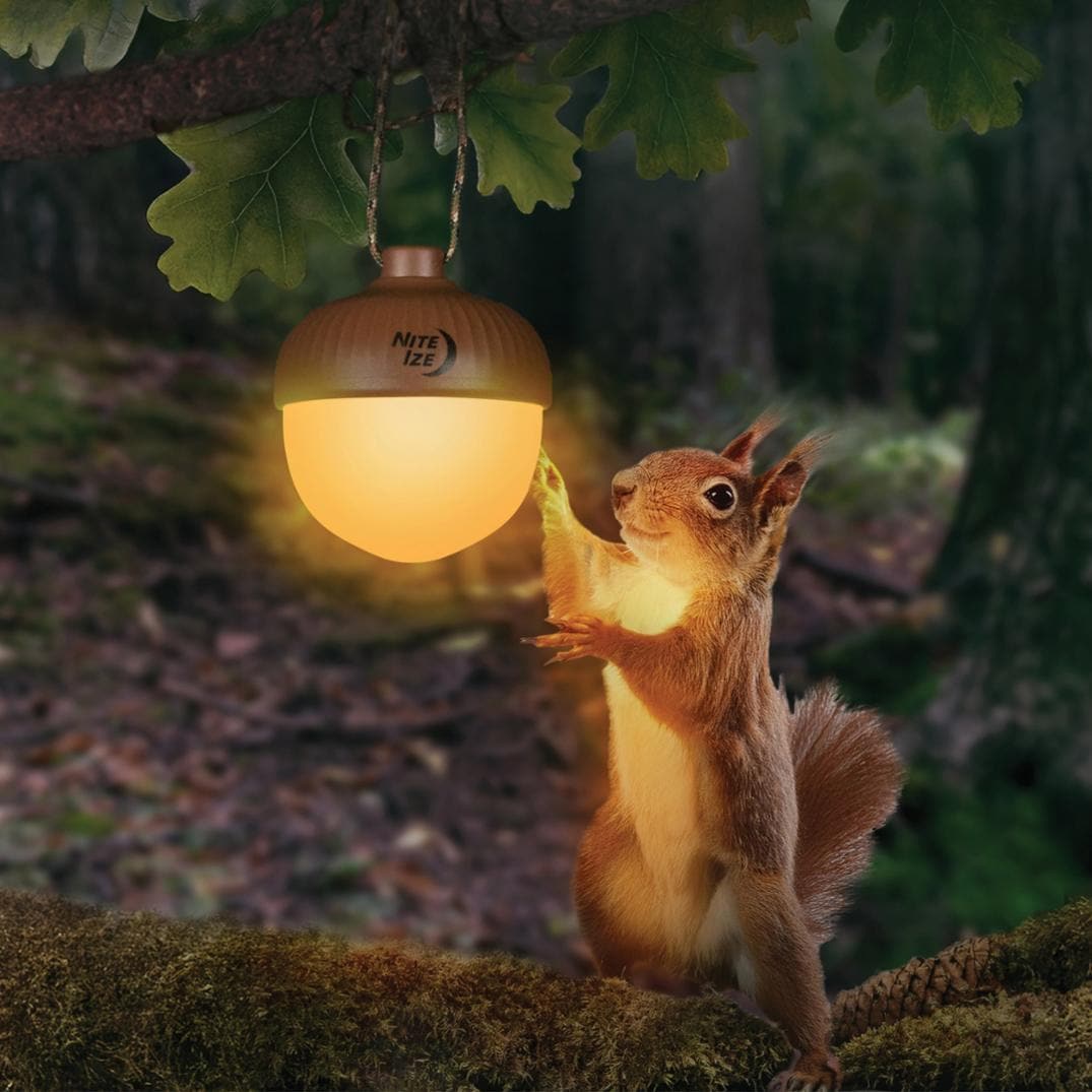 Location Image for Radiant NutLit Rechargeable Lantern