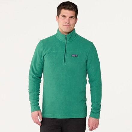 Patagonia Micro D Fleece Pullover - Men's 1