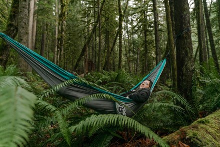 Location Image for SingleNest Hammock