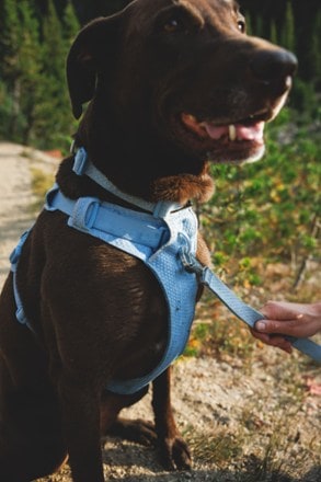 Ruffwear Front Range Flex Leash 5