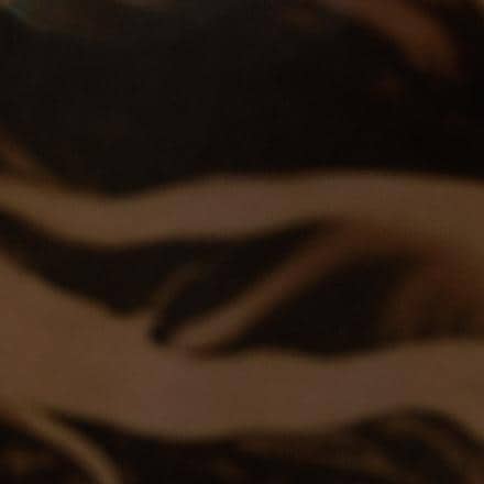 Swatch Image of color Porcini/Black Print