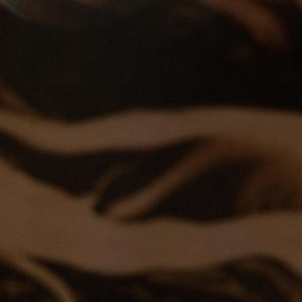 Swatch Image of color Porcini/Black Print