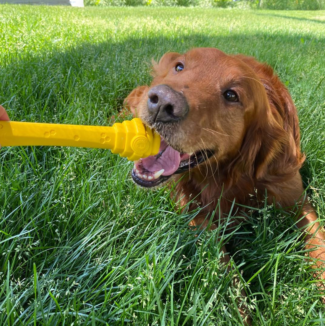 Location Image for Hive Fetch Stick