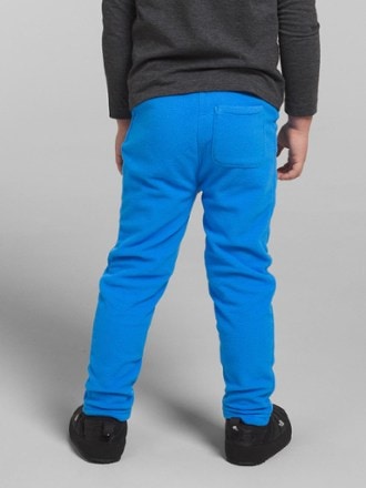 The North Face Glacier Pants - Toddlers' 2