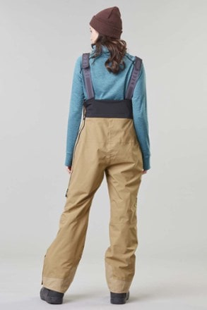 Picture Organic Clothing Elwy Bib Snow Pants - Women's 1