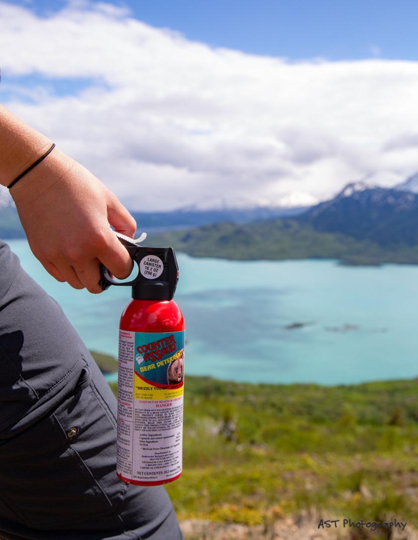 Location Image for Bear Deterrent Spray - 10.2 fl. oz.