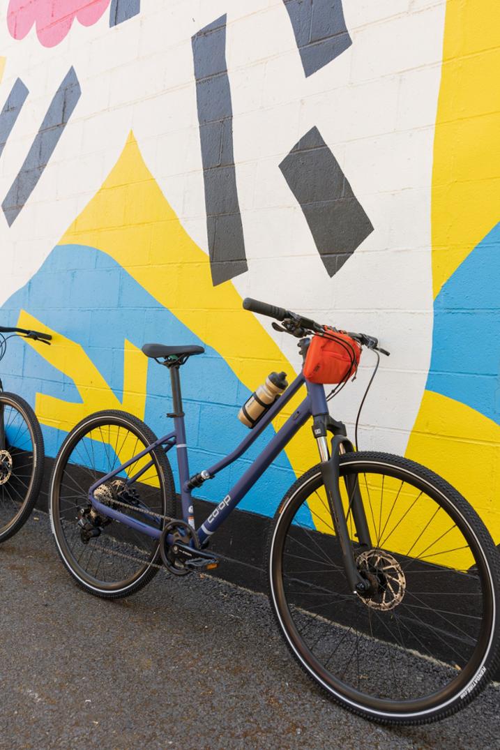 Location Image for CTY 2.1 Step-Through Bike