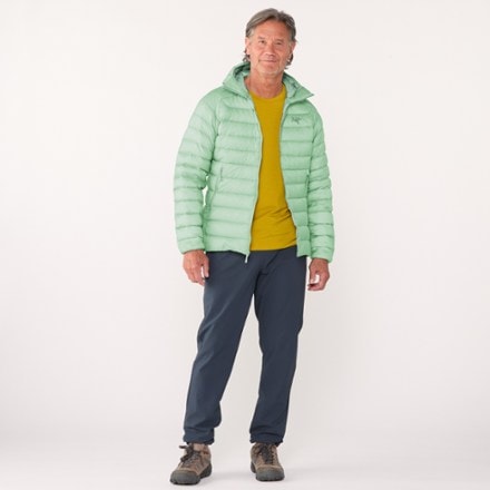 Arc'teryx Cerium Down Hoody - Men's 3
