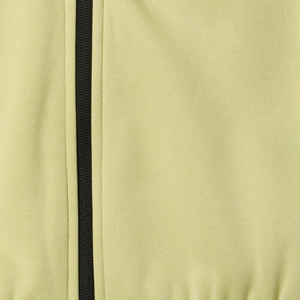 Swatch Image of color Pear