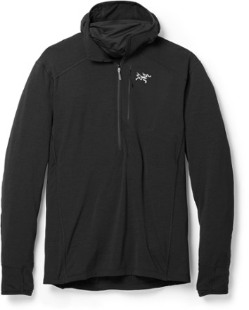 Arc'teryx Delta Half-Zip Fleece Hoodie - Men's | REI Co-op