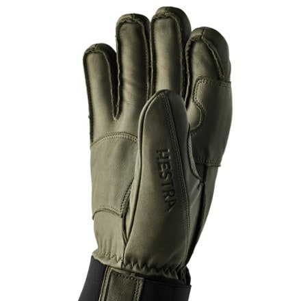 Hestra Gloves Fall Line Gloves 1