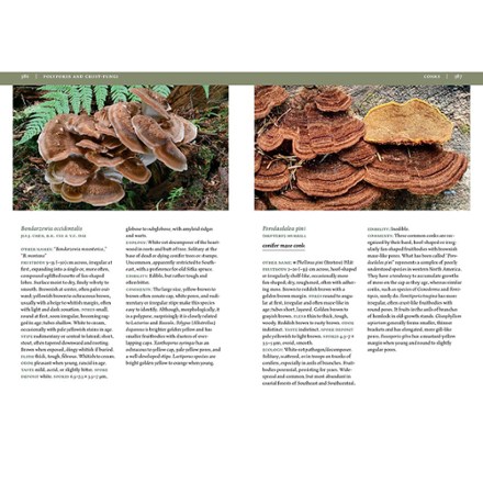 Timber Press Mushrooms Of Alaska 3
