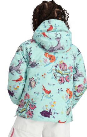 Obermeyer Ashor Insulated Jacket - Toddlers' 2