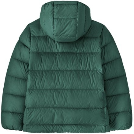 Patagonia Hi-Loft Down Sweater Hoody - Kids' 1