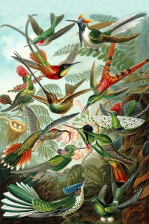 Lantern Press Hummingbirds Artist Puzzle - 1,000 Piece 1