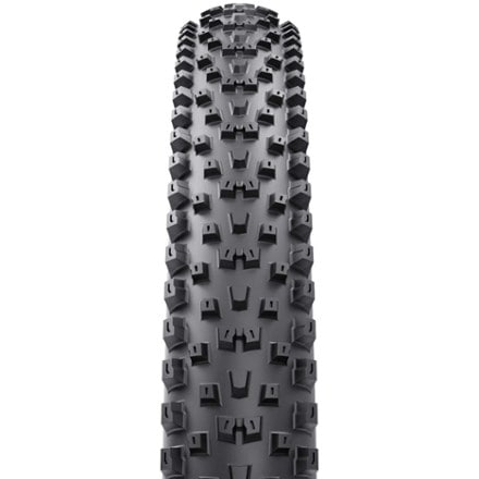 WTB Peacekeeper Tire 1