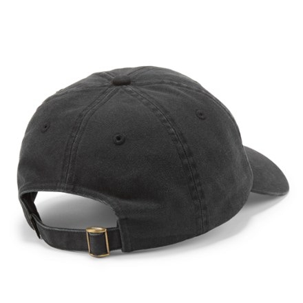 REI Co-op Everyday Graphic Cap Back view