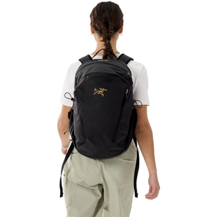 Arc'teryx Mantis 26 Pack | REI Co-op