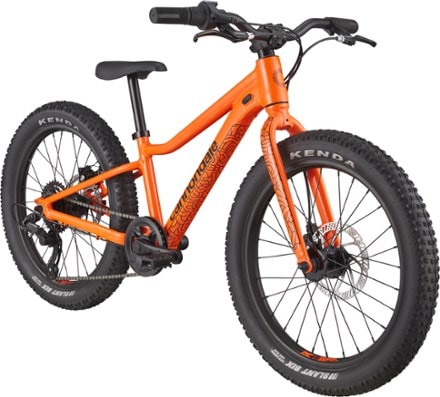 Cannondale Trail Plus 20 Kids' Bike 1