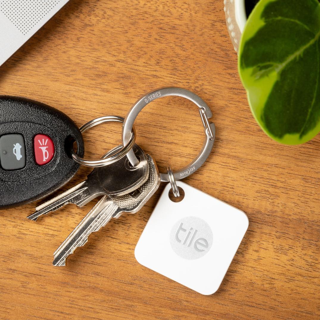 Location Image for O-Series Gated Key Ring - Package of 2