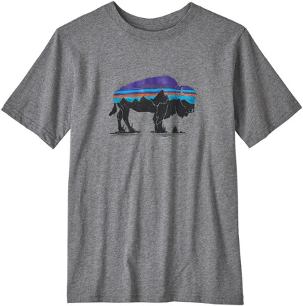 patagonia bison t shirt