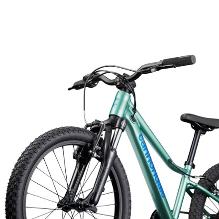 Cannondale Trail 20 Kids' Bike | REI Co-op