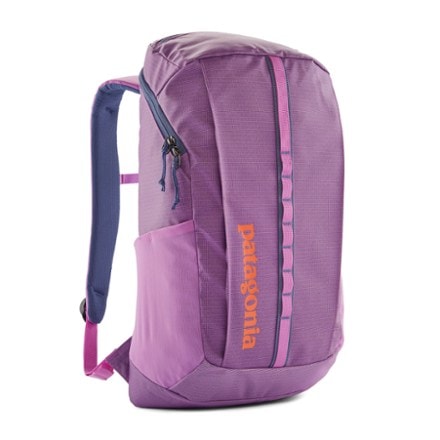 Patagonia Black Hole Pack - 25 L 0