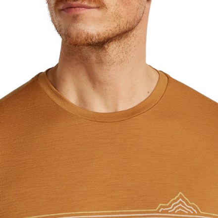 Icebreaker Merino 150 Tech Lite Range Stripes T-Shirt - Men's 4