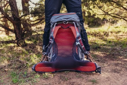 Gregory Facet 45 Pack - Women's 3