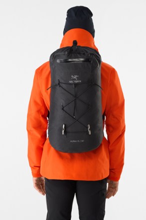 Arc'teryx Alpha FL 30 Pack 1