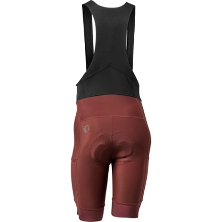 PEARL iZUMi Expedition Cycling Bib Shorts - Men's 4