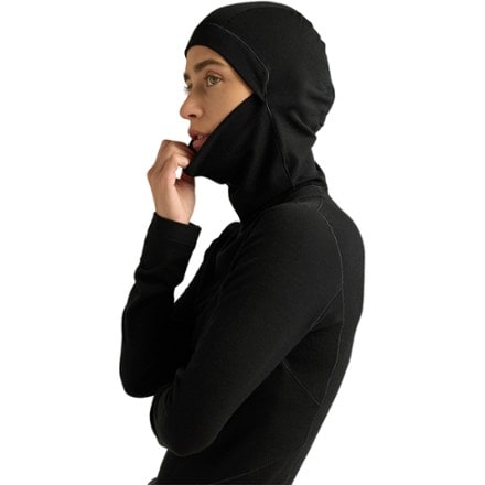 Arc'teryx Satoro Merino Wool Base Layer Hoody - Women's 5
