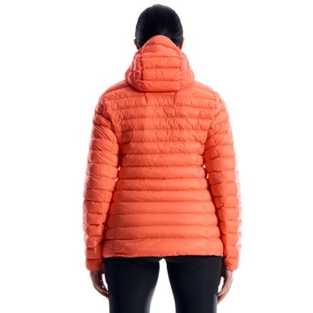 Berghaus Trail-Nomad Synthetic Insulated Jacket - Women's 1