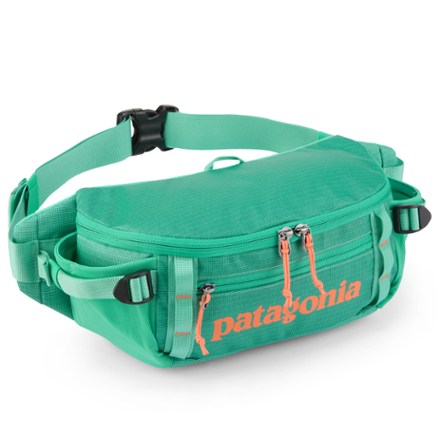 Patagonia Black Hole Waist Pack 5 L 0