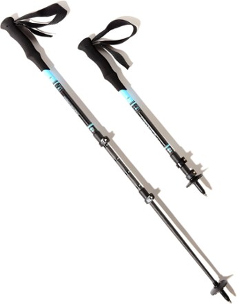 rei trek poles