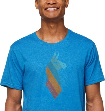 Cotopaxi Llama Stripes Organic T-Shirt - Men's 6