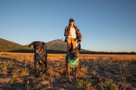 Ruffwear Front Range Dog Harness 7