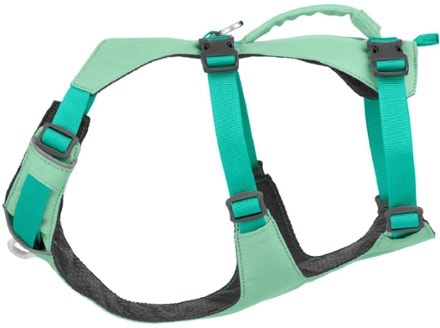 Ruffwear Flagline Dog Harness 1