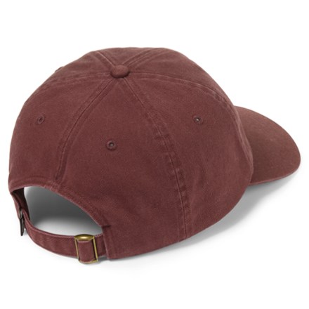 REI Co-op Everyday Graphic Cap Back view