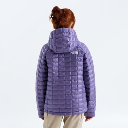 The North Face ThermoBall Hooded Jacket - Kids' 1